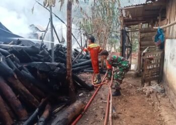 Pabrik Pengolahan Kayu di Pacitan Ludes Terbakar, Kerugian Ditaksir Mencapai Rp2 Miliar Pabrik Pengolahan Kayu di Pacitan Ludes Terbakar, Kerugian Ditaksir Mencapai Rp2 Miliar