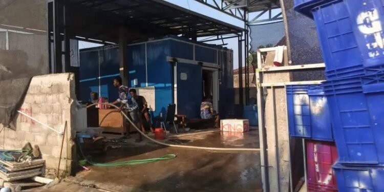 Suasana aktivitas pekerja di area lapak dan penimbunan ikan laut yang dikeluhkan warga di Lingkungan Teleng Ria, Kel. Sidoharjo, Pacitan, Senin (28/9/2026). (Foto: Dok. Istimewa)