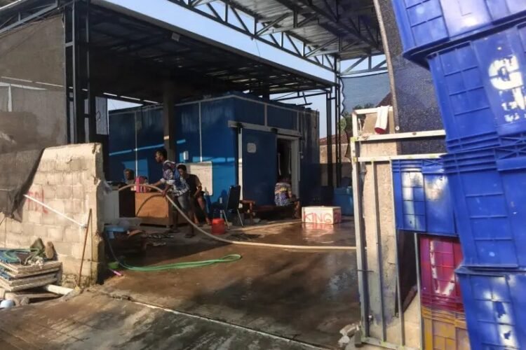 Aktivitas Penimbunan Ikan di Teleng Pacitan Diduga Picu Bau Anyir di Permukiman, Warga Pertanyakan Pengelolaan Limbah Aktivitas Penimbunan Ikan di Teleng Pacitan Diduga Picu Bau Anyir di Permukiman, Warga Pertanyakan Pengelolaan Limbah