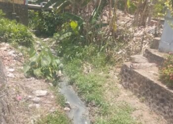 Bau Tak Sedap Dikeluhkan Pengguna Jalan Mentoro, DLH Pacitan Diharapkan Turun Tangan