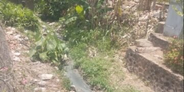 Bau Tak Sedap Dikeluhkan Pengguna Jalan Mentoro, DLH Pacitan Diharapkan Turun Tangan